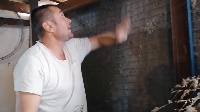 ОБ ЭТОМ ДОЛЖЕН ЗНАТЬ КАЖДЫЙ КРОЛИКОВОД!!