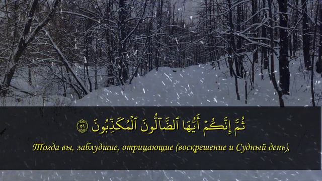 Сура для защиты от бедности для каждого. Сура №56: "Аль-Вакыʼа" - «Событие». Красивое чтение Коран смотреть онлайн