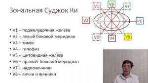 Зональная Суджок Ки. Твист терапия.