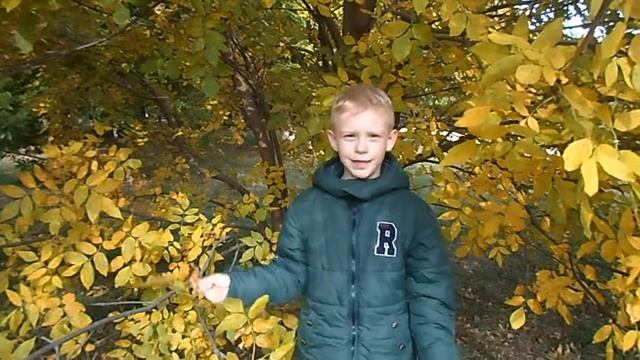 Виталий Пискарев стихотворение Осень. смотреть онлайн