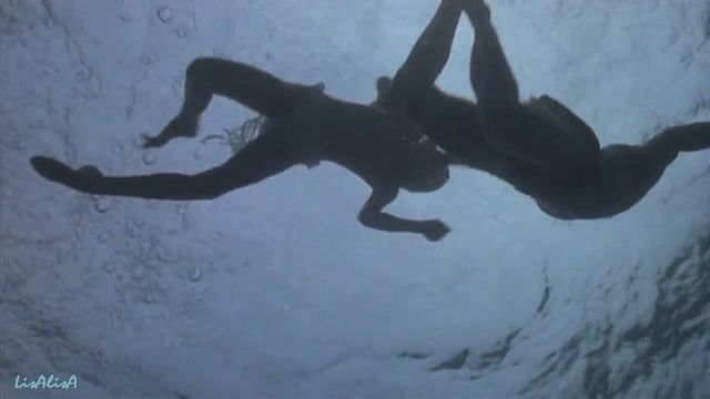 Николай Ефименко =Лагуна розовых фламинго= смотреть онлайн