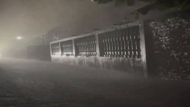 Звуки дождя и грома ночью в парке для легкого и расслабляющего сна - Звуки проливного дождя ASMR. смотреть онлайн