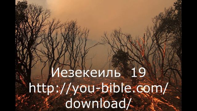 Притча, названная плачем - "Виноградная лоза у реки" смотреть онлайн