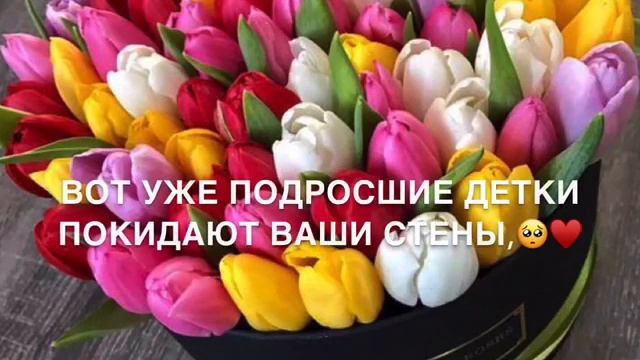 Выпускной смотреть онлайн