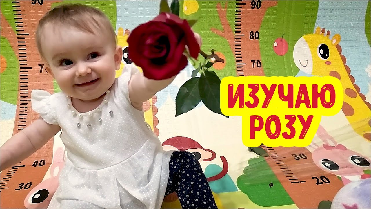 АНЯ ИЗУЧАЕТ РОЗУ | Моя первая роза | Реакция ребенка смотреть онлайн
