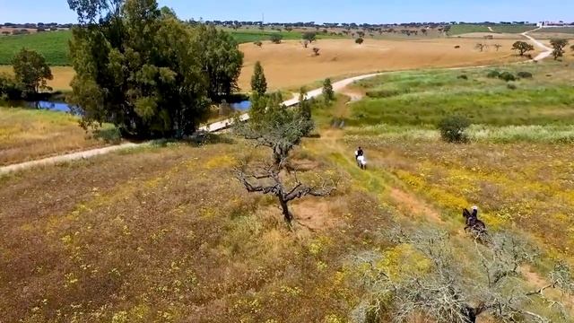 Relajación Curativa Intensa Anti Depresión, Estrés Y Ansiedad, Energía Positiva |Sueño Profundo #14