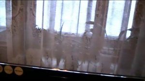 Видео обзор LED телевизора Samsung UE32C6000RW