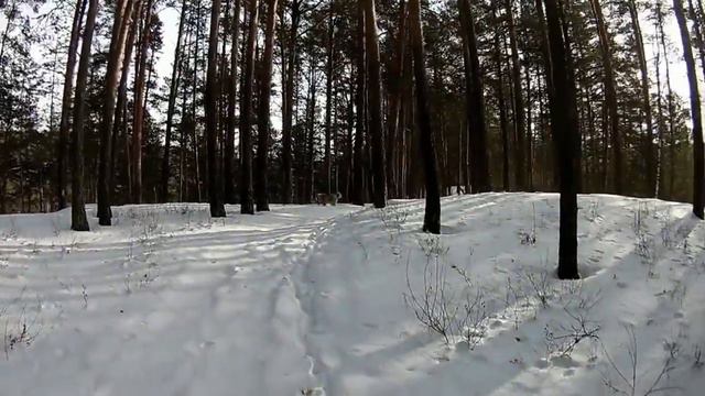 Март 2018 снег лес река лед смотреть онлайн