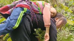 Single Mom - Return The Land, Sell The Bamboo House - Move To A New Place And Start A New Life