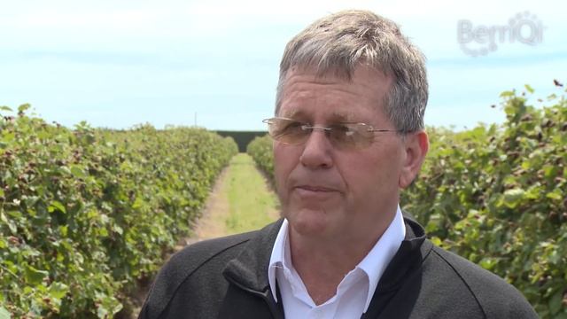 BerriQi - Visit to Boysenberry New Zealand Fruit Farm with Julian Raine смотреть онлайн