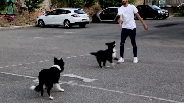 Stefano Di Carlo.Dj Heightole.Endless смотреть онлайн