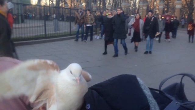 МУЗЫКА и уличные музыканты СПБ. Санкт Петербург. Путешествия, экскурсии, туризм. смотреть онлайн
