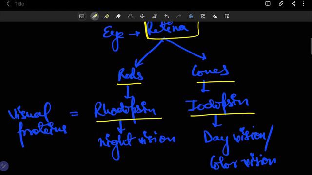Vitamins Part 1( Vitamin A and Measles) смотреть онлайн