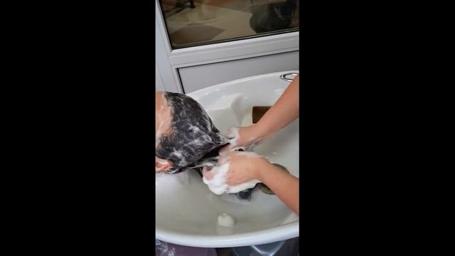 Окрашивание корней+ламинирование волос смотреть онлайн