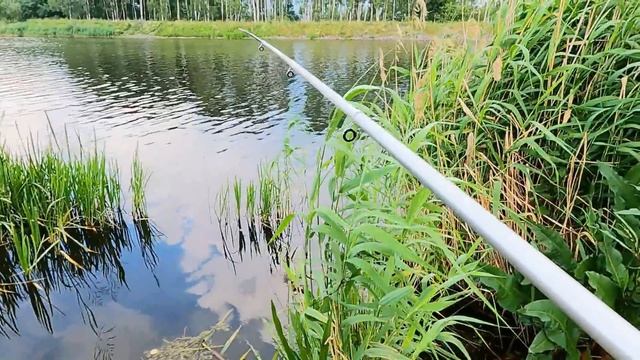 НАЛОВИЛ КРУПНЯКА!!! Первая рыбалка на экраны на водохранилище. смотреть онлайн