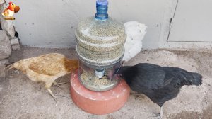Кормушка курам из бутыли для кулера на подставке