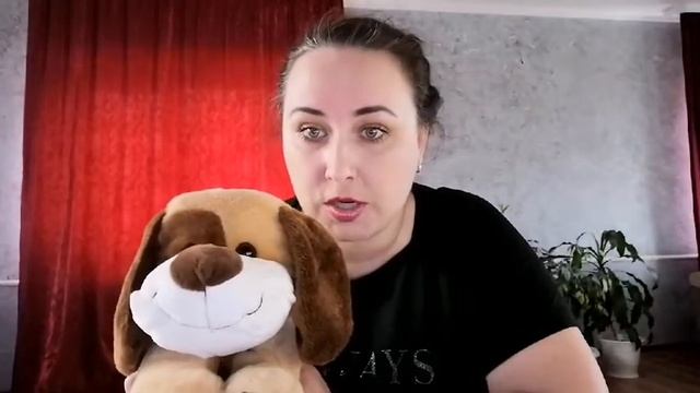Андрей Усачев "умная собачка Соня" ("Как Соня поймала эхо") смотреть онлайн