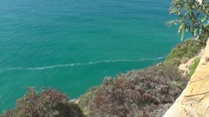 005-Прогулка по территории отеля Green Hill