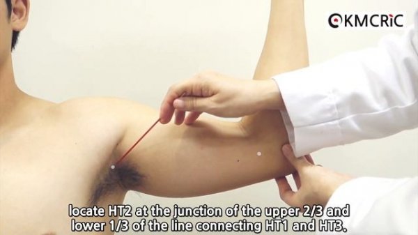 HT2 청령 靑靈 Qingling (Eng sub) - KMCRIC WHO Standard acupoint DB