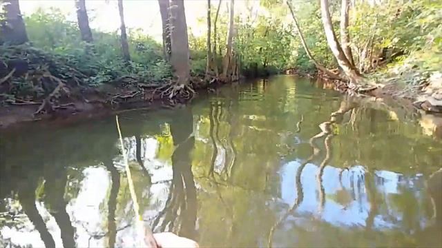 TINY Lure Creek Fishing Tennessee w/ DUO Realis Ryuki and Realis Spin смотреть онлайн