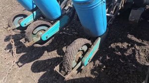 Посев подсолнечника Евралис 2019. Сеялка СПЧ 6 и Испанкие удобрения