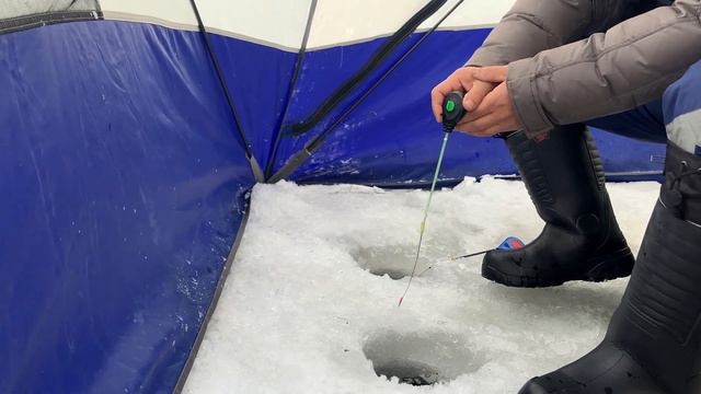 Глухозимье ОТМЕНИЛИ! Поклевки. Окунь на безмотылку в глухозимье. Разрез Караганда смотреть онлайн
