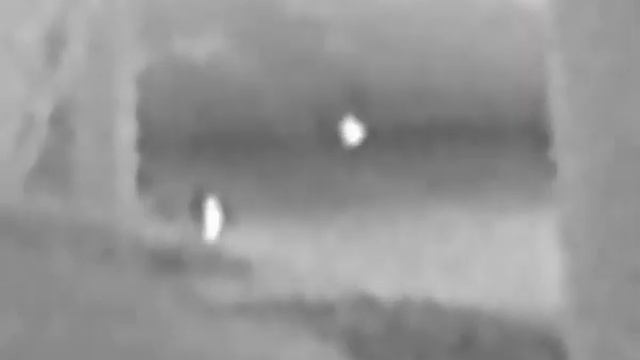 AGM Taipan смотреть онлайн