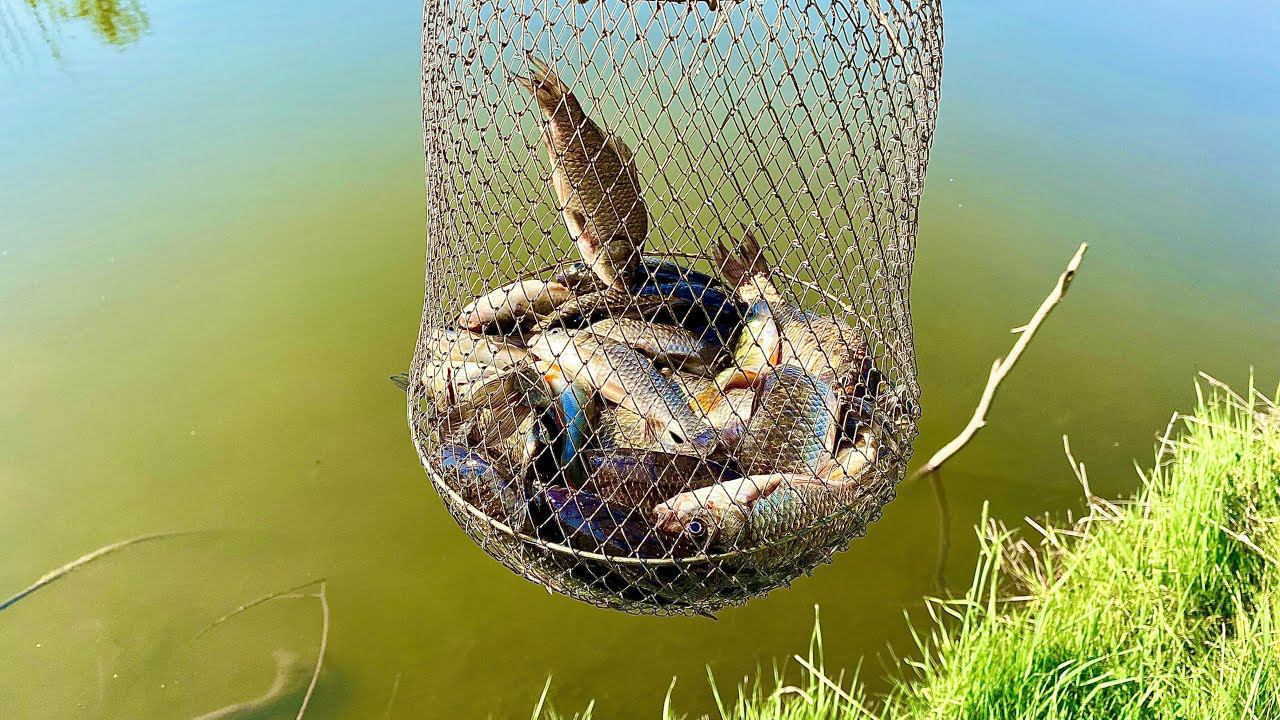 Трудовая Рыбалка получилась. Каждый червяк был на вес золота смотреть онлайн