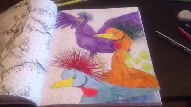 Раскрашиваю картинку из раскраски ,,Райские птицы" смотреть онлайн