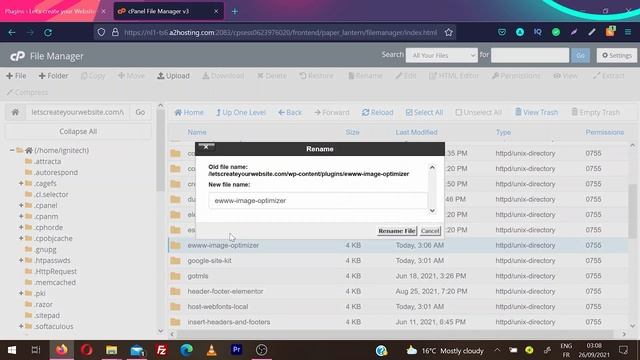 Website broke? DON'T PANIC, Disable plugins via cpanel смотреть онлайн