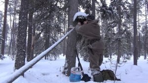 ОХОТА НА КУНИЦУ КАПКАНАМИ / ПРОМЫСЕЛ В ТАЙГЕ / УДАЧНАЯ ПРОВЕРКА