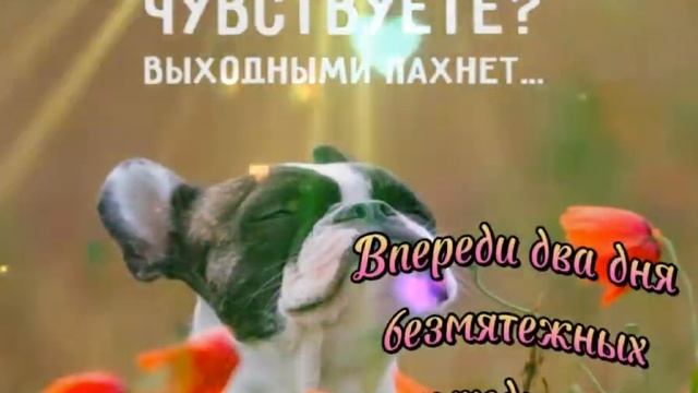 17 июня 2022 г. смотреть онлайн