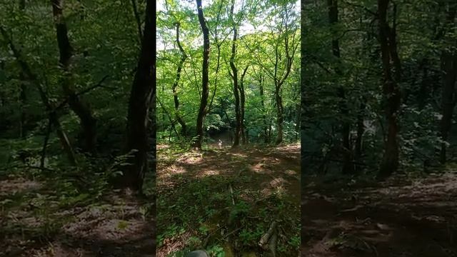 172 fmm на бигборе 300 77мм. смотреть онлайн