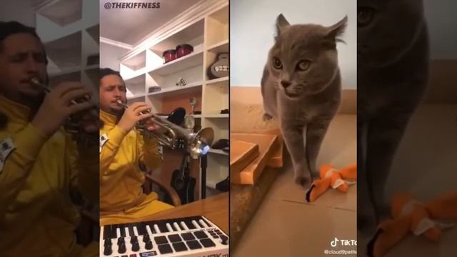 Человек делает песню смотреть онлайн