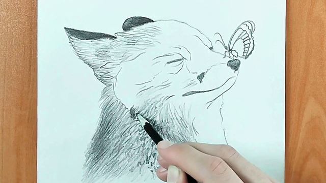 How To Draw a Realistic Fox ? - Pencil Sketch Drawing animals смотреть онлайн