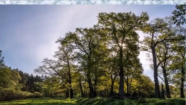Синичкин день смотреть онлайн