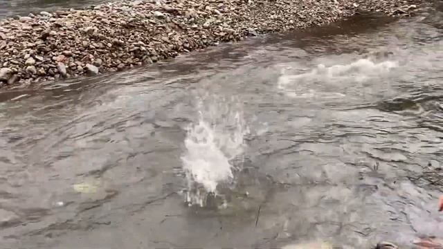Замок Гродно/ Зима в Польше/ Замки в Польше?/ Дамба рядом с Вроцлавом смотреть онлайн