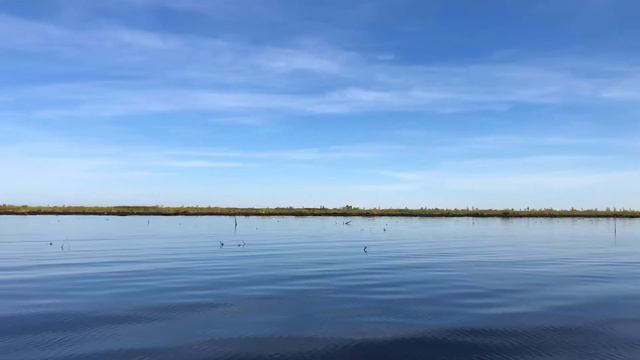 Пожва ч.2 на «Минибуксировщике»: Н.Лух-Пожва-Н.Лух смотреть онлайн