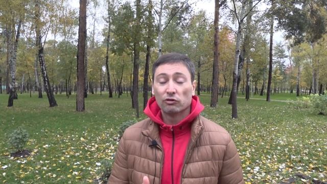 ЕСВ. 4101. Декларации почтой - момент получения.