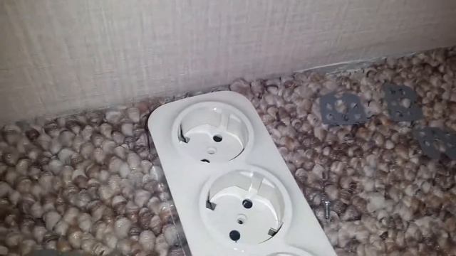 Накладная розетка Legrand Quteo смотреть онлайн