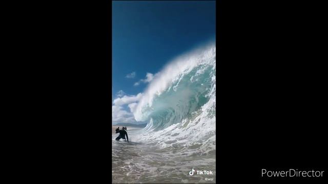 Смешные и интересные видео из тик тока #1 | TikTok | МАКС ТУТ смотреть онлайн