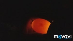 Овоскопирование гусиного яйца / просвечивание гусиного яйца