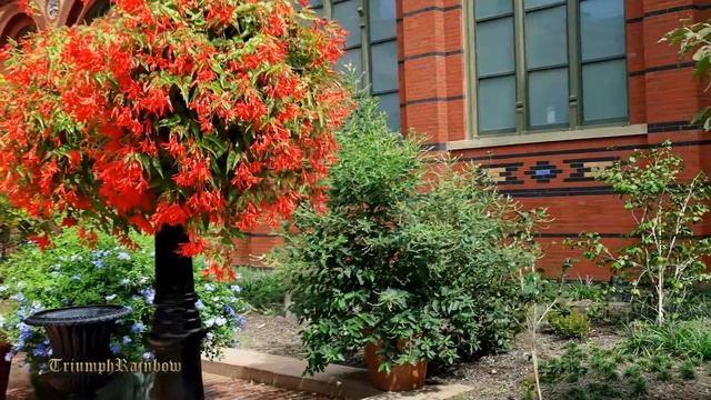 United States Capitol-Smithsonian Castle 4K UHD смотреть онлайн