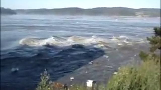 Tsunami Chile "en vivo", 2010. Registro completo. "Terremoto" смотреть онлайн
