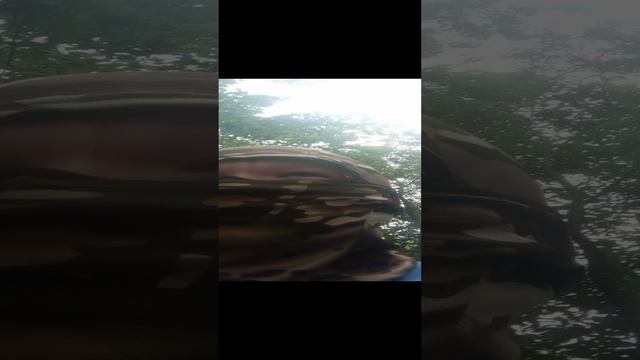 В следующий раз будет по смешнее 🤣