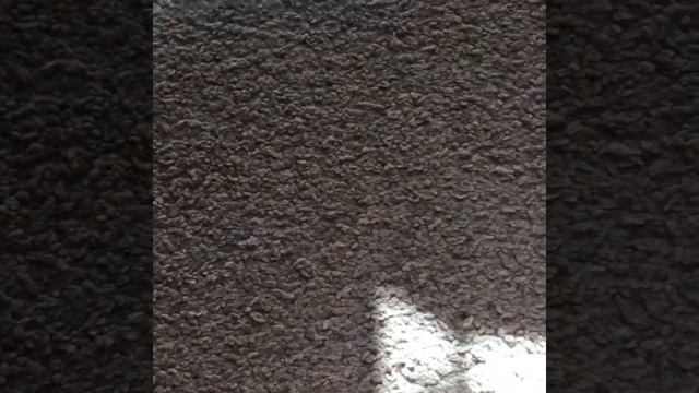 Лоскут кожи крокодила средний смотреть онлайн