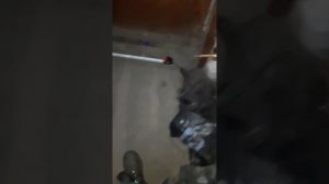 Схождение колёс Опель