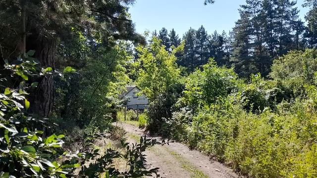 Голубое озеро, обкомовские дачи | история Ульяновска смотреть онлайн