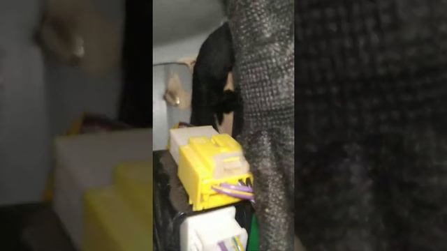 Течь салона Geely Emgrand x7 2020 NL-4.Часть 4 смотреть онлайн