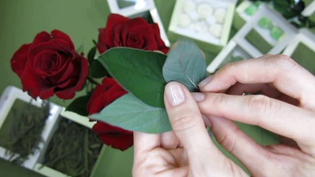 Стабилизированные цветы в сравнении с живыми смотреть онлайн